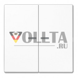 Клавиша Jung SPLS102KO5WW со световодом для двухпозиционной кнопки, дюропласт с антимикробным покрытием, серия LS, альпийский белый