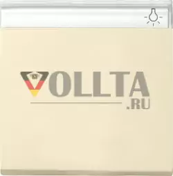 Gira 029901 System55 выключатель света/датчик крышка, цвет: кремово-белый, тон:глянец