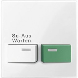 MERTEN 452119 Центральная пластина полярно-белая глянцевая System M