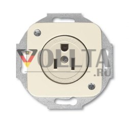 Busch-Jaeger 3015 EUC-212 Вставка розетки Busch-Nema с центральной платой, 2-полюсная (2 P + E), 15 A белая