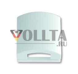 Busch-Jaeger 1746-84 центральная пластина студия белая