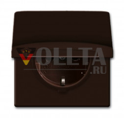 Busch-Jaeger 20EUGK-31-101 серия:Allwetter44 SCHUKO Наружная розетка 16А, откидная крышка, цвет:коричневый