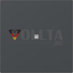 Gira 349028 прямое управление f.Sys.55 anthr рокер