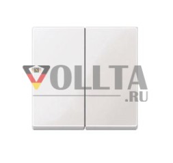 MERTEN 432519 Клавиша для последовательного выключателя, термопластик блестящий, полярно-белый глянцевый