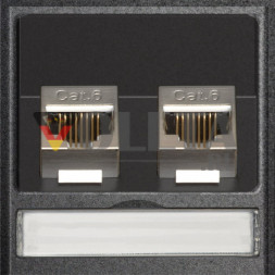 Модуль EVOline 2 x RJ45 CAT6 / запасная часть