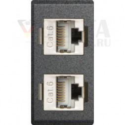 Модуль EVOline 2 x RJ45 CAT6 / сменная часть 25x50 мм