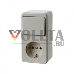 Berker 479640 накладной, для наружного монтажа SCHUKO-розетка  16А, цвет: кремово-белый, тон:глянец