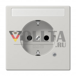 Jung LS520NAKOLG LS990 SCHUKO-розетка 16А, цвет: светло серый