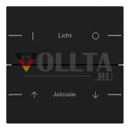 Gira 5762005 2f 4 System 55 sw m комплект клавиш