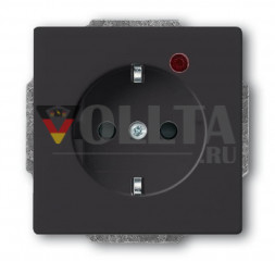 Busch-Jaeger 2310EUGL/VA-81-11 Carat SCHUKO-розетка 16А, цвет:антрацит