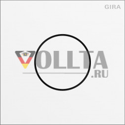 Голосовой модуль Gira 5563902 System 106 цвет белый (лакированный)