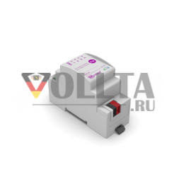 Module Electronic 17001 Модуль аналогово ввода-вывода UAS-04