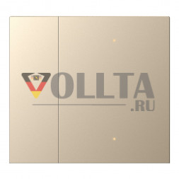 GVS 88188322 набор клавиш для WALTZ TOUCH+ PAD | 4-позиционный, алюминий | шампанского цвета