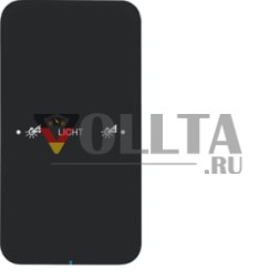 Berker 75141165 Сенсорный односторонний комфортный стекло, черныйBerker R.1