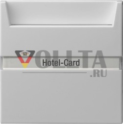 Gira 0140015 Переключатель (лит.) BSF Sys 55 серая кнопка Hotel Card