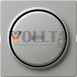 Gira 029042 крышка + клавиша управления. S-Color Grey