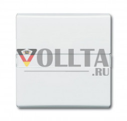 Busch-Jaeger 2106N-32 серия:Allwetter44  выключатель света/датчик крышка, цвет: кремово-белый
