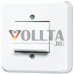 Jung 306A AP600 Выключатель 10А, универсальный выключатель/переключатель цвет: кремовое-белый
