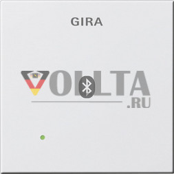Gira 228803 System55 Заглушка, для вставки док-станции, цвет:чисто белый, тон:глянец