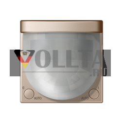 Автоматический выключатель Jung A17281CH Universal 2, 20 м, IP44, серия A, цвет шампанского