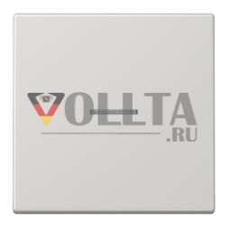 Jung LS10911STRFLG KNX RF кнопка 1-позиционная, дюропласт, серия LS, светло-серый