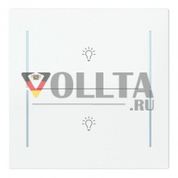 Busch-Jaeger 2CKA006199A0381 LFBT/A.2.70.11-44G Tast.2-fmSymb.Bel. Cover