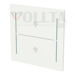 Busch-Jaeger 2CKA006199A0381 LFBT/A.2.70.11-44G Tast.2-fmSymb.Bel. Cover