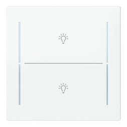 Busch-Jaeger 2CKA006199A0381 LFBT/A.2.70.11-44G Tast.2-fmSymb.Bel. Cover