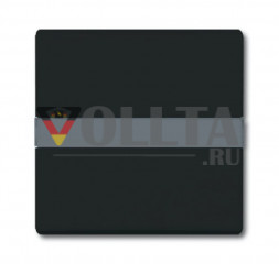 Busch-Jaeger 2106N-35 серия:Allwetter44  выключатель света/датчик крышка, цвет:антрацит