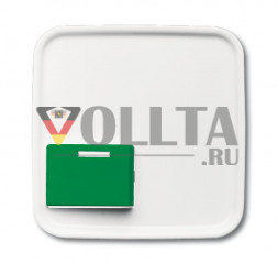 Busch-Jaeger 2CKA001724A4423 2548-642 C-214-101 Reflex-SI центральная пластина