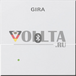 Gira 228727 System55 Apple Lightning (коннектор), насадка цвет:чисто белый, тон: матовый