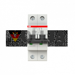 Автоматический выключатель ABB Stotz-Kontakt 2CDS272445R0405 S202MT-B40 B-Char.10kA 40A 2P