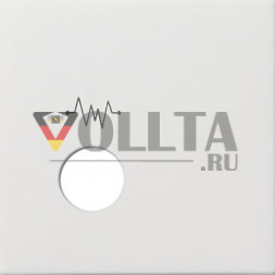 Gira 0239112 Ширококлавишный выключатель Блок вызова крышка, цвет:чисто белый, тон:глянец