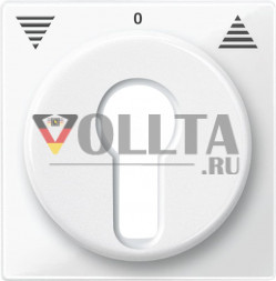 Schneider серия: Merten 319419 System M Rollladen-Tastrastschalter крышка, цвет:полярная белизна, тон:глянец