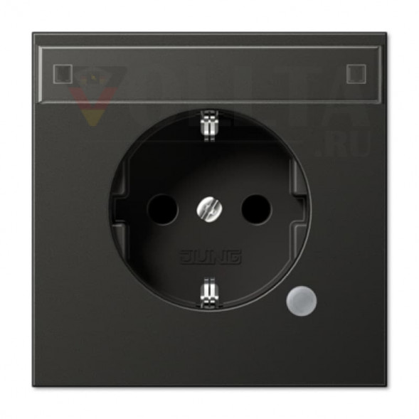 Jung AL2520NAKOAN LS990 SCHUKO-розетка  16А, цвет алюминевый цвет:антрацит