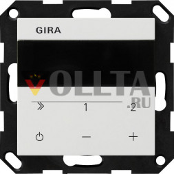 Gira 232027 IP System 55 rws со скрытым радио