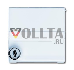 Busch-Jaeger 2118 GKSLN-34 промежуточное кольцо с откидной крышкой, запираемое, разный замок альпийский белый