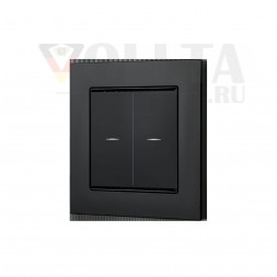 Elsner Cala KNX M2-T глубокий черный RAL9005 двойная кнопка
