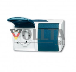 Busch-Jaeger 20/2EW-53 Ocean SCHUKO-розетка  цвет:серый
