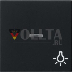 Gira 0674005 система освещения с символом 55 черная клавиша