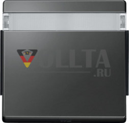 Merten 343914    Aquadesign   выключатель света/датчик крышка, цвет:антрацит