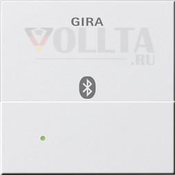 Gira 228627 System55 для вставки док-станции, Apple 30Pin цвет:чисто белый, тон: матовый
