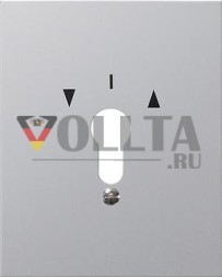 Gira 009730 крышка с символом WG накладная серая