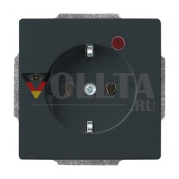 Busch-Jaeger 2310 EUGL/VA-81-11 Busch-Protector® SCHUKO® вставка для розетки, с защитой от перенапряжения антрацит