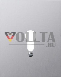 Gira 009830 крышка без символа WG накладная серая