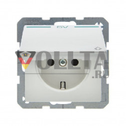 Berker 47516039 Q1 SCHUKO-розетка  16А, со штампом SV--