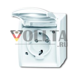 Busch-Jaeger 20 EBW-54 розетка SCHUKO®, с повышенной защитой контактов альпийский белый