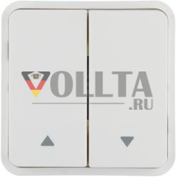 Berker 30653562 клавиша 2f для кнопки BA,bedr 2 стрелки,pw