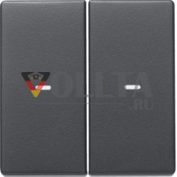 Berker 80960326 качалка 2-х полосная с прозрачной линзой Berker Q.1/Q.3 антрацитовый бархат