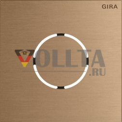 Gira 5578921 голосовой модуль Sys106 br передняя панель